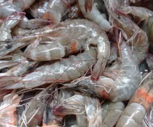peixaria da luh foto (2)